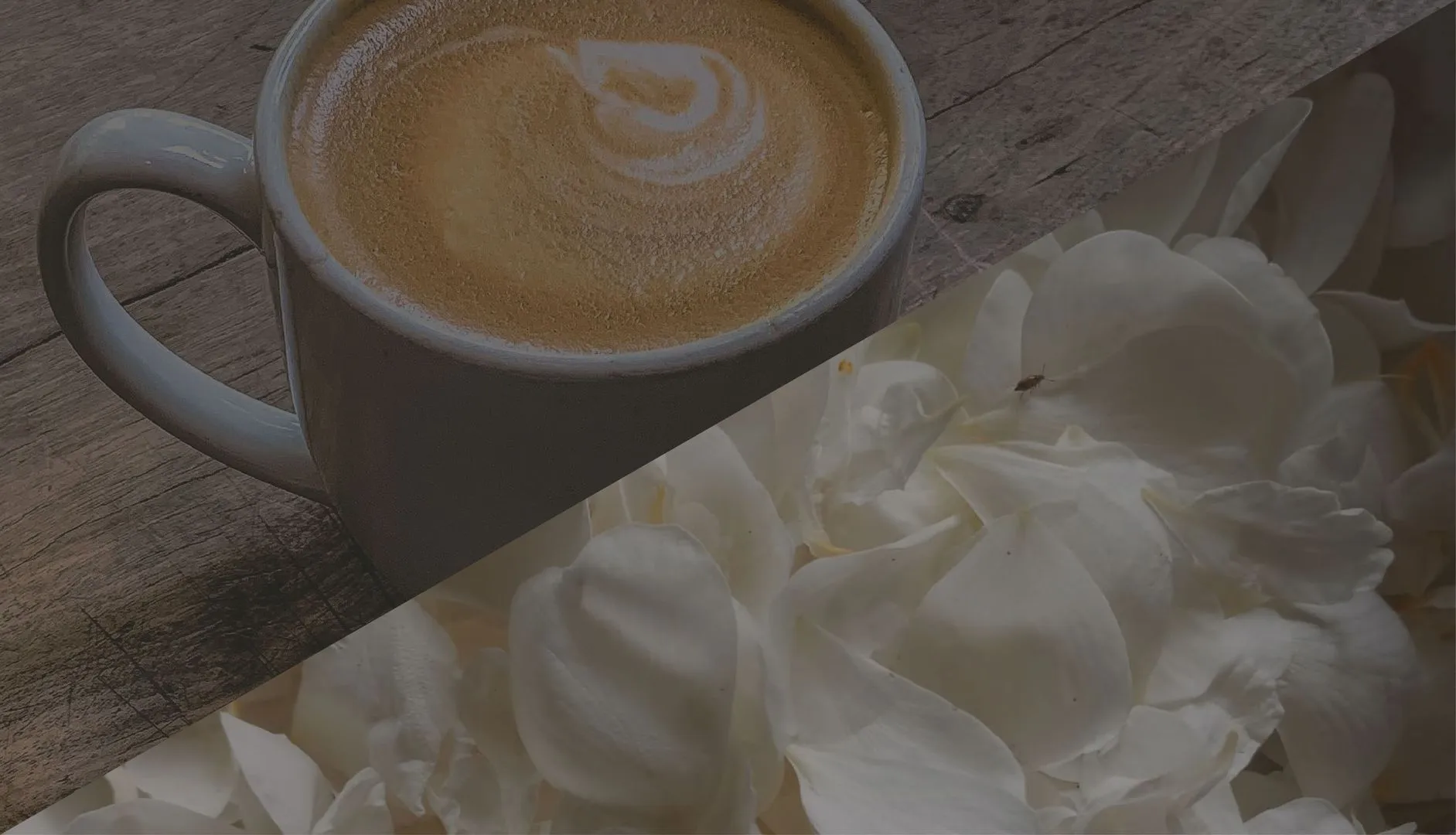 Blumen Kaffee Lamms Waldachtal