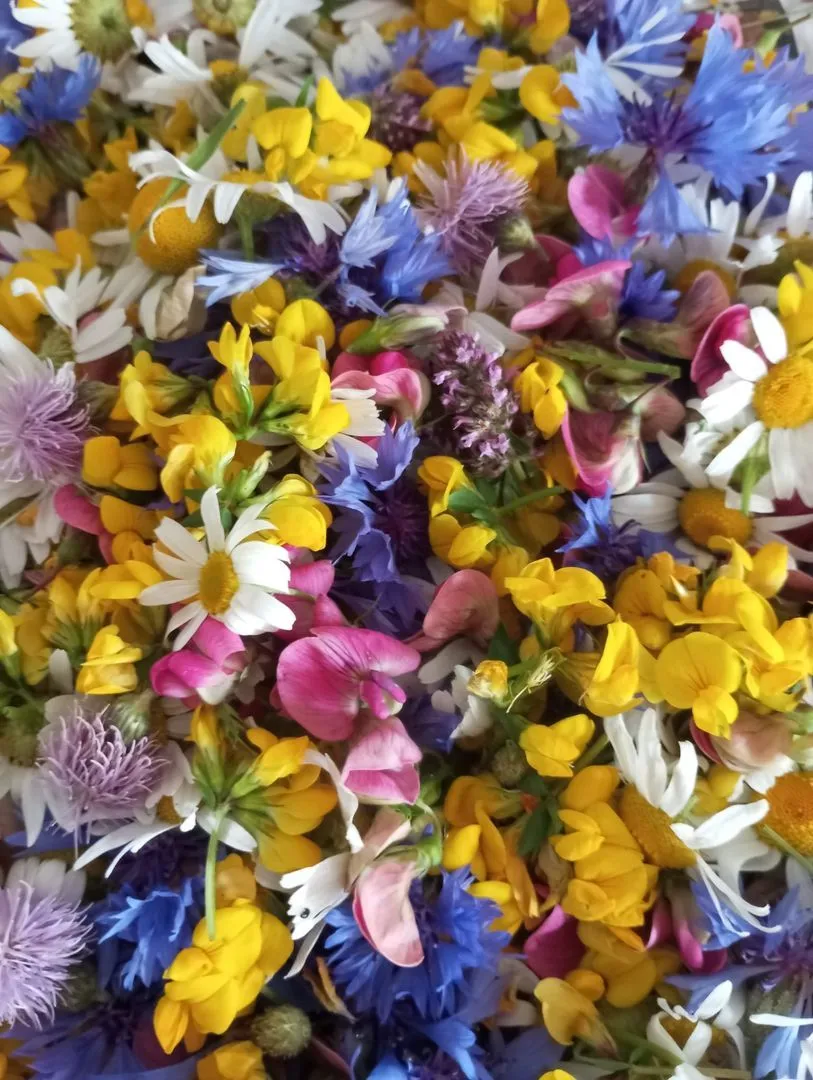 Blumenladen bei Freudenstadt